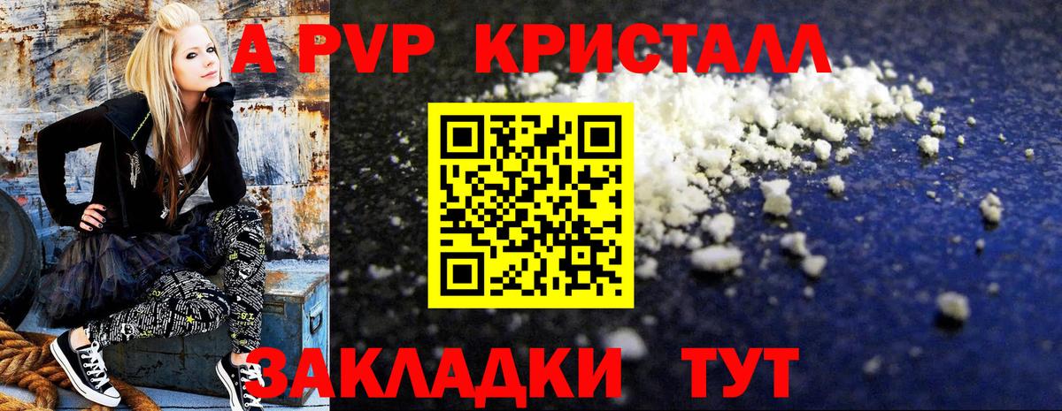 Альфа ПВП СК КРИС Благодарный