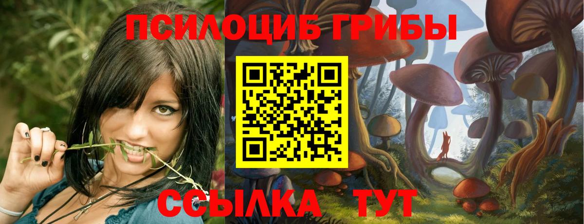 Псилоцибиновые грибы мухоморы  Псилоцибиновые грибы прущие грибы  дарнет шоп  Благодарный  Вход с VPN 