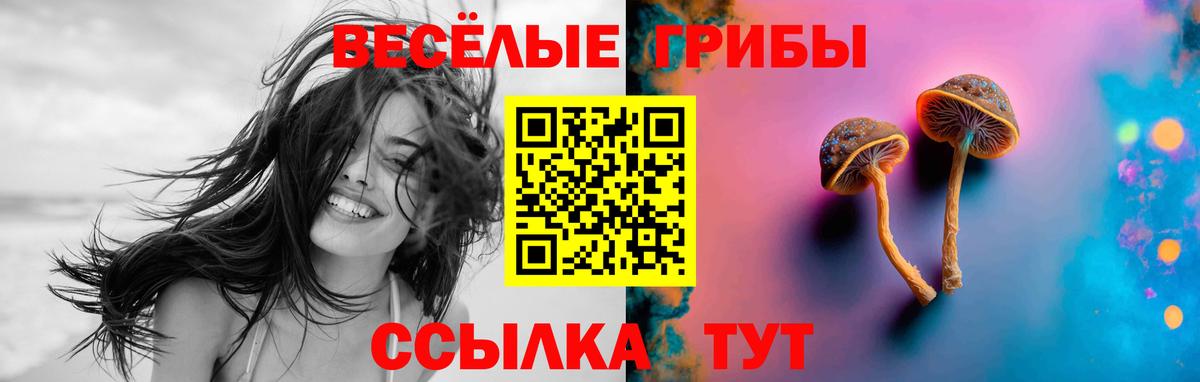 Псилоцибиновые грибы MAGIC MUSHROOMS Благодарный
